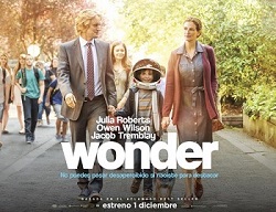 Wonder